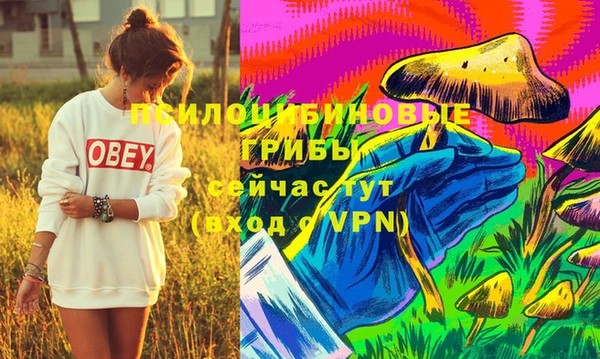 apvp Балахна