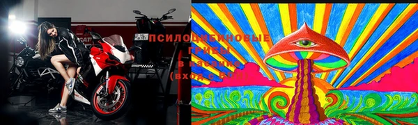 apvp Балахна