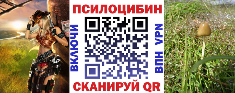 Псилоцибиновые грибы GOLDEN TEACHER Купить закладки Лениногорск