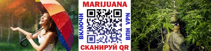 Купить  Лениногорск  Канабис семена 